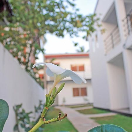 The Anchorage Holiday Apartments - Negombo Exterior photo