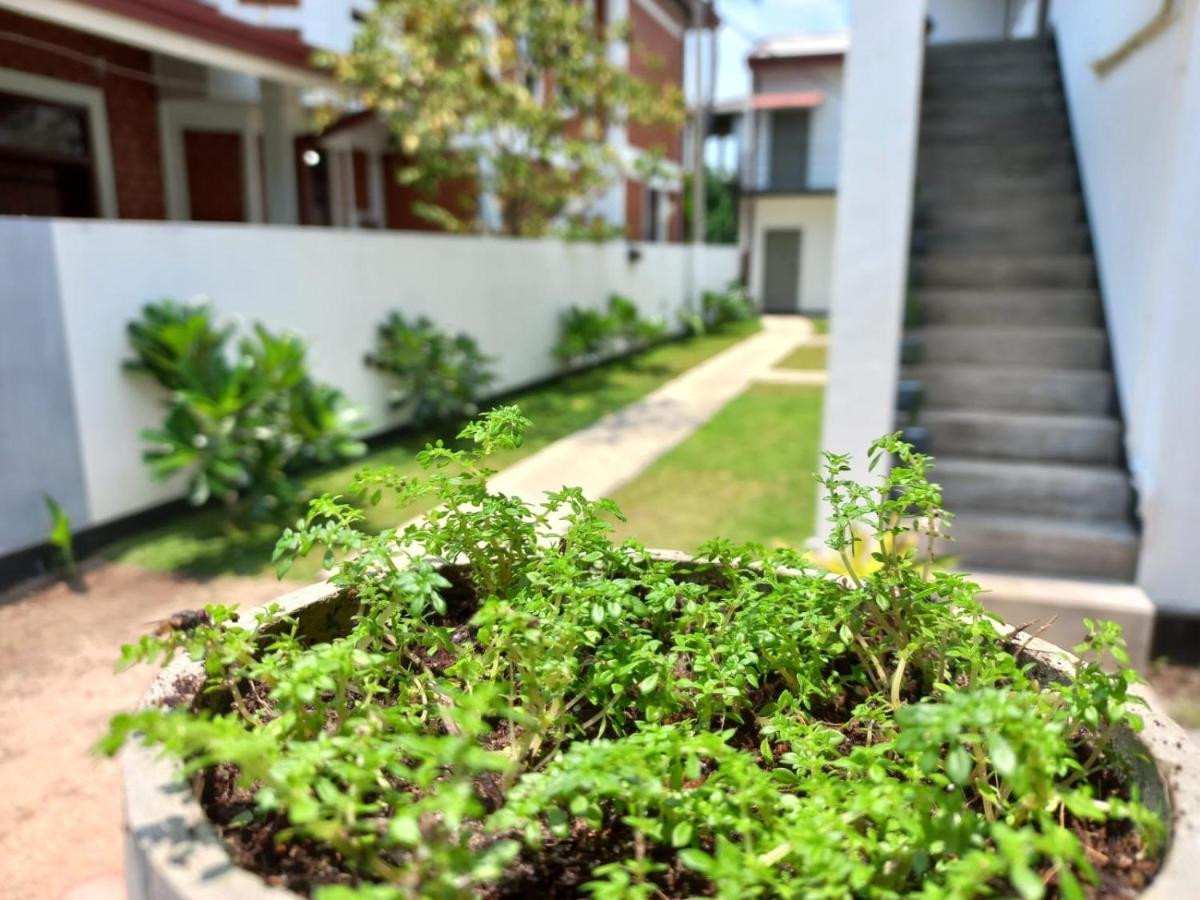 The Anchorage Holiday Apartments - Negombo Exterior photo